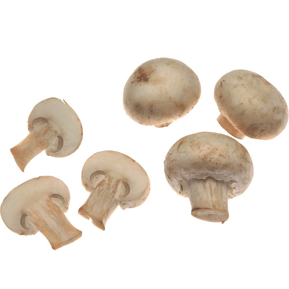 Mushroom images hd photo clipart