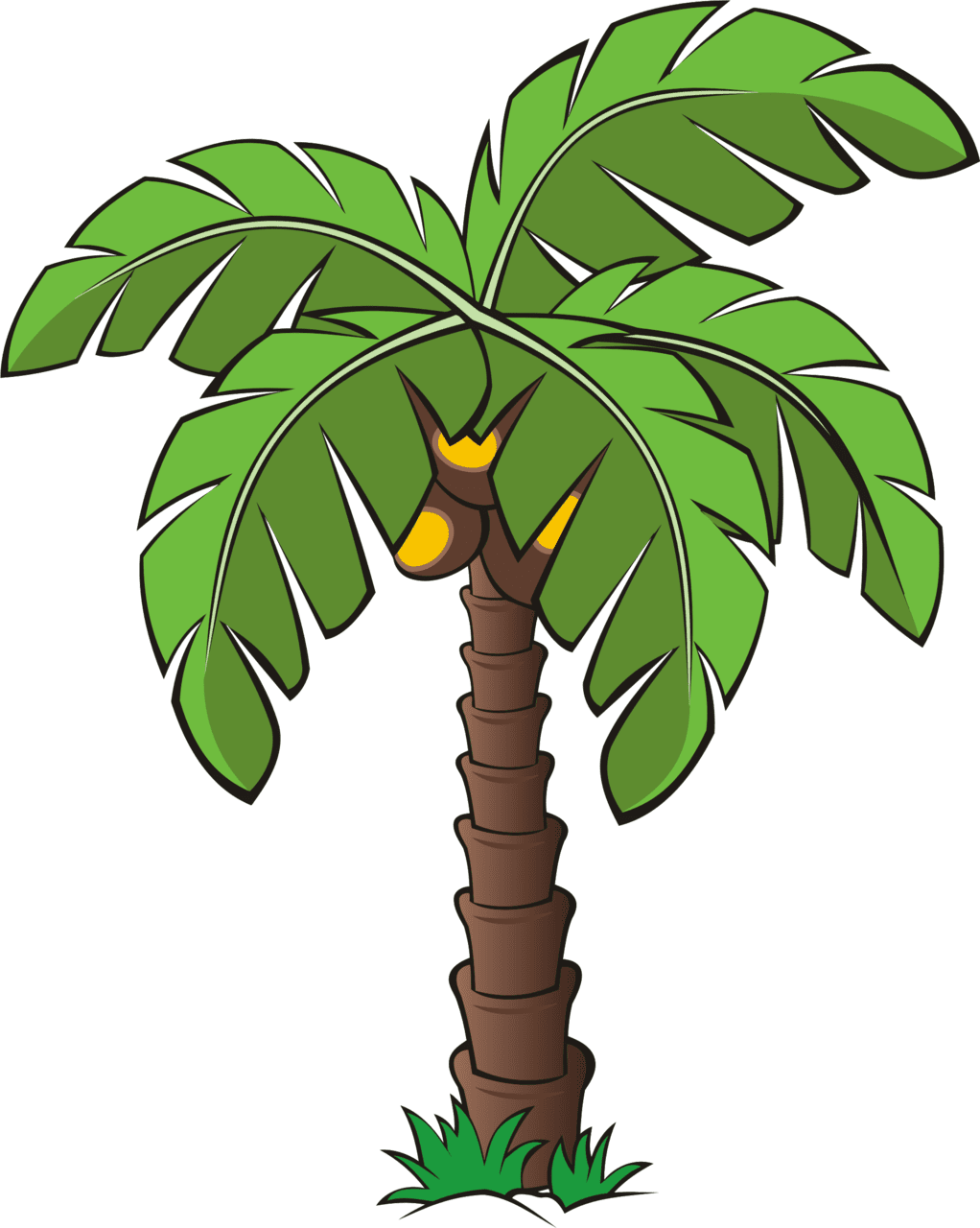 Palm tree clipart vector
