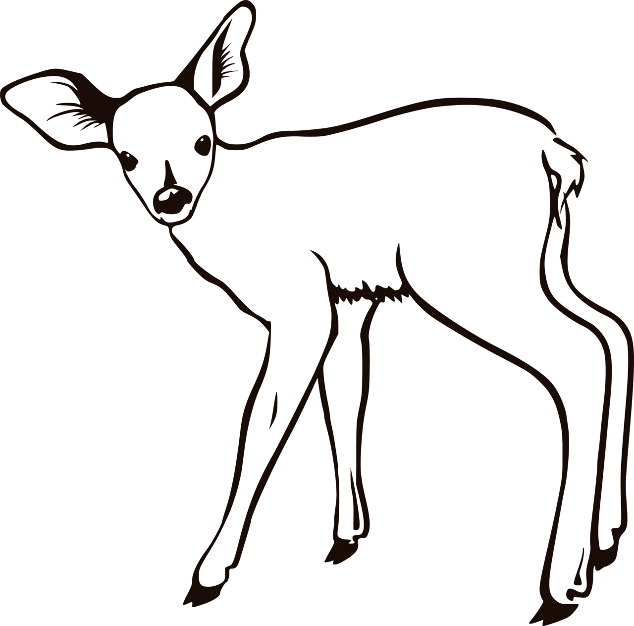 Fawn outline deer coloring pages forest animals pictures clipart