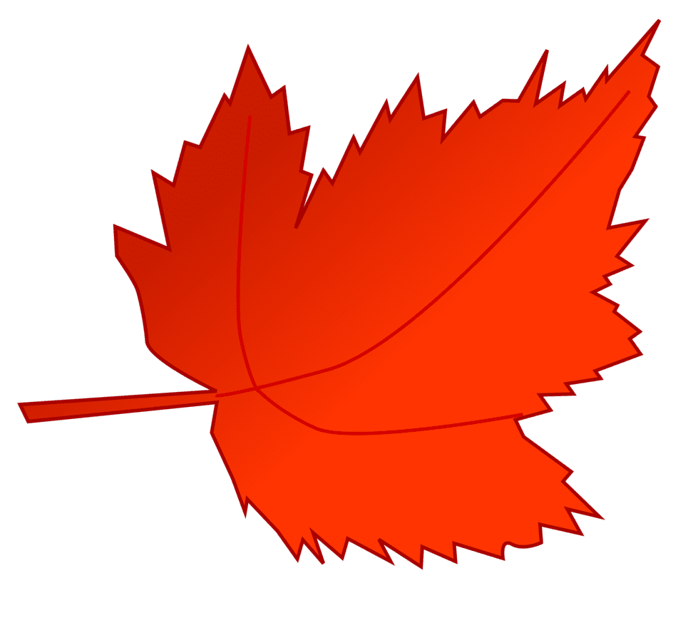 Fall leaves thanksgiving clipart picture