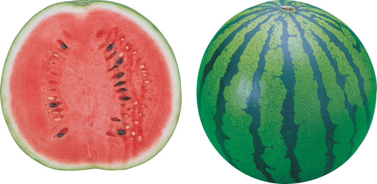 Watermelon image for clipart 3