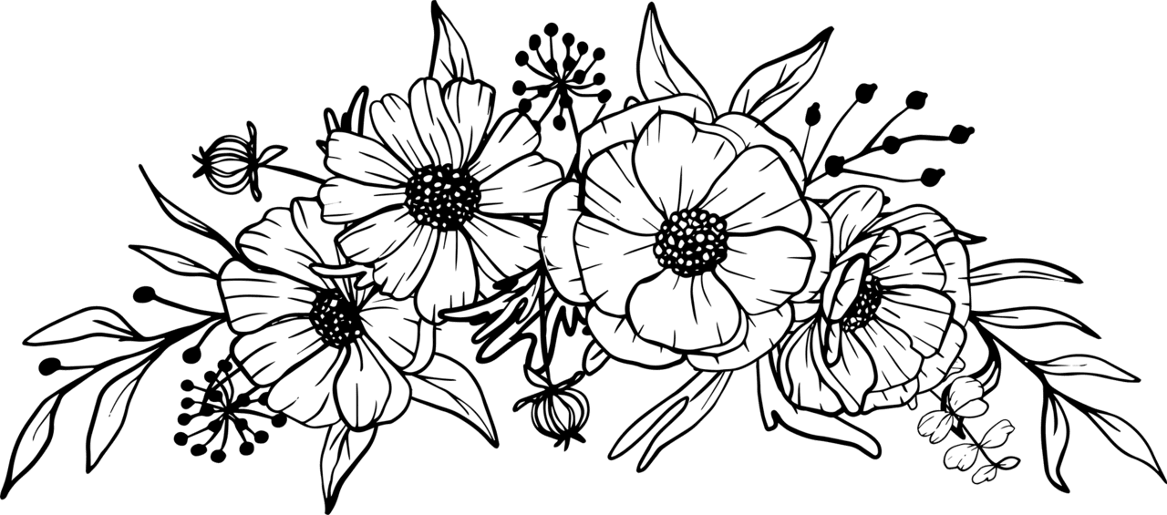 Flower black and white isolated daisy line art floral clipart picture