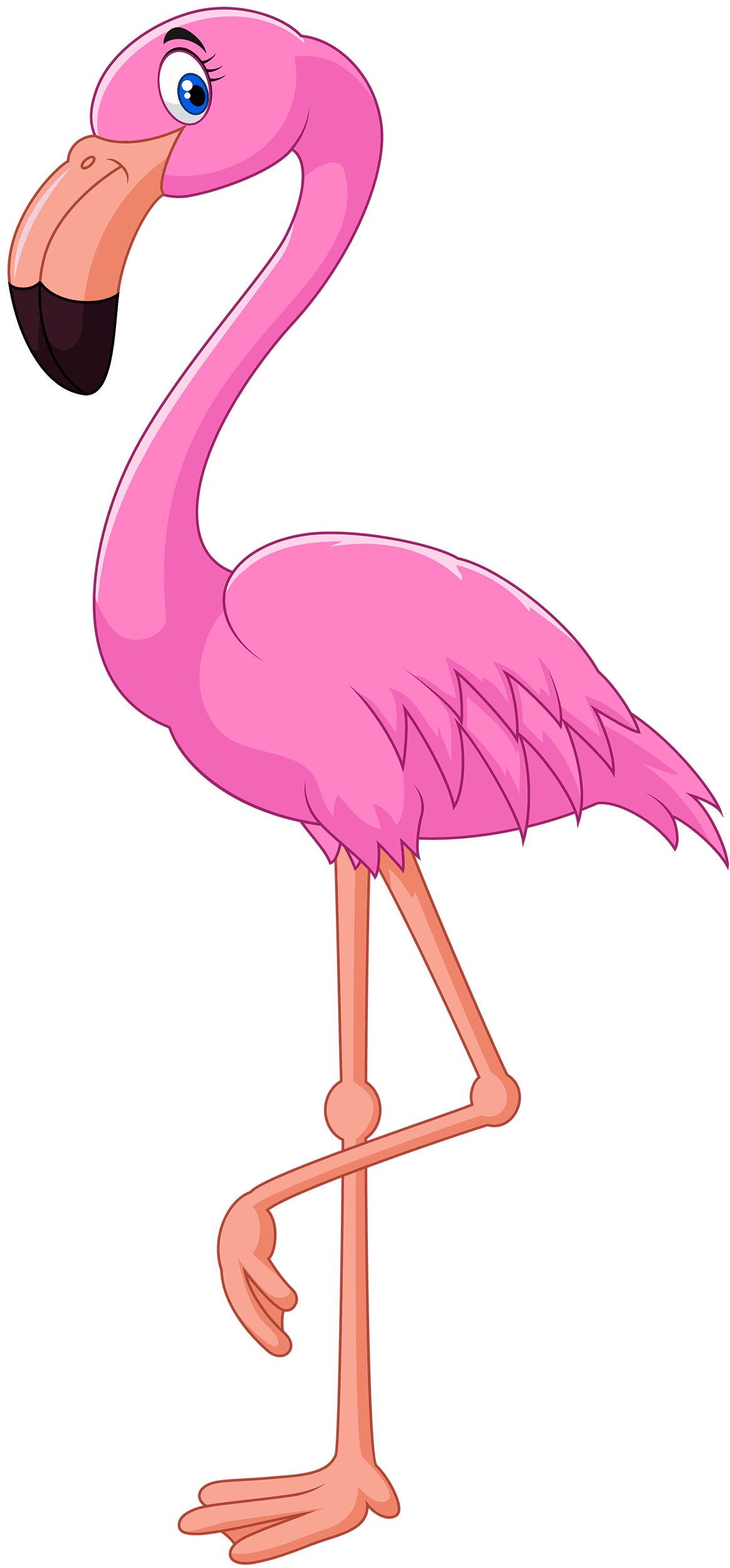 Animal pink flamingo clipart vector