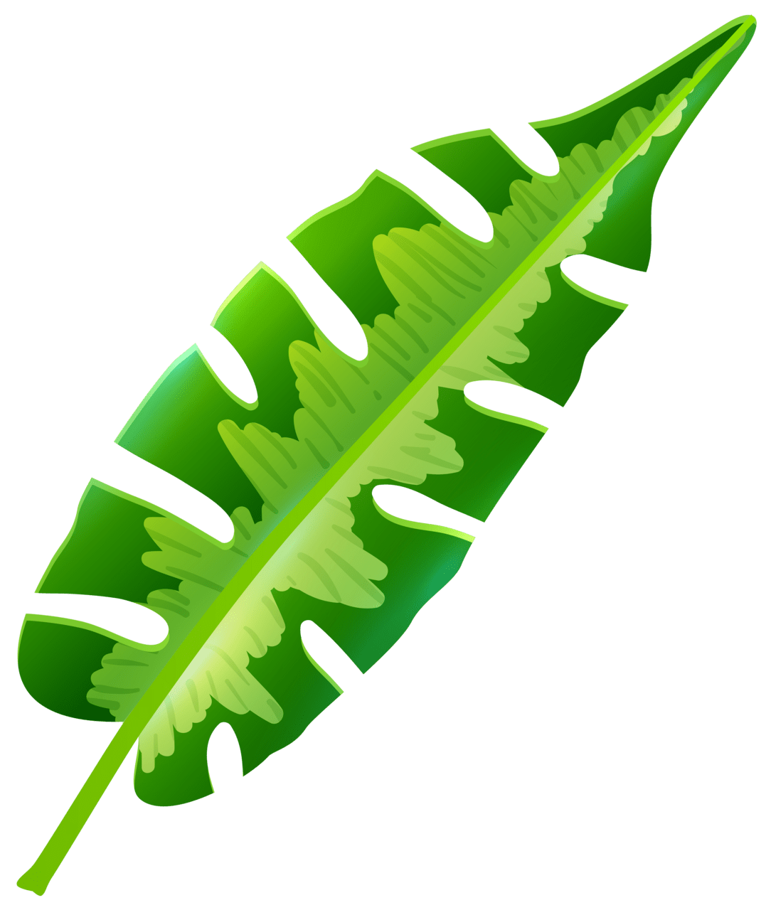 Fall leaf tropical clipart best picture