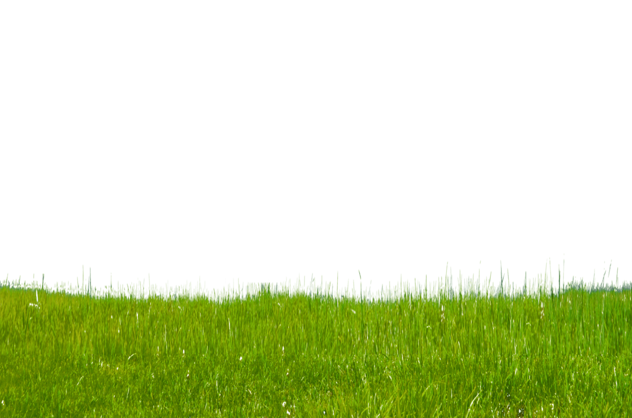 Grass hillside photo by annamae deviantart photoshop im genes de fondo hd suelo tierra clipart