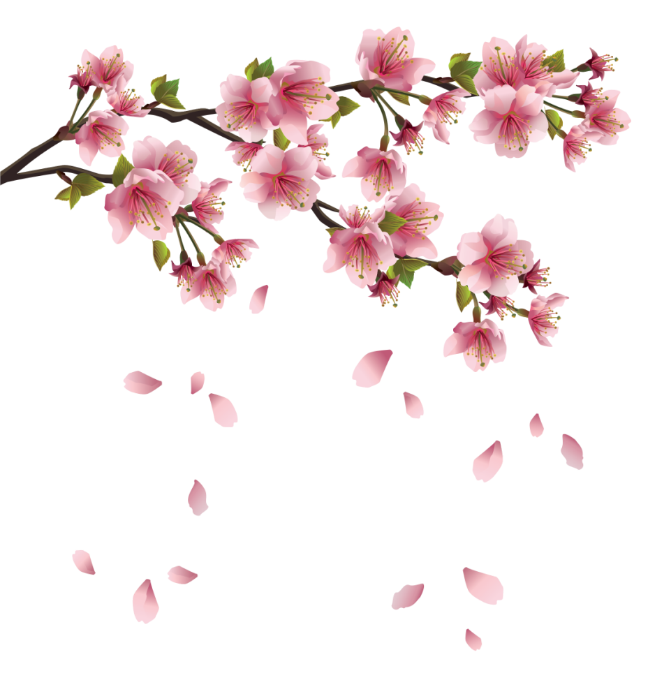 Beautiful pink spring branch with falling petals clipart background