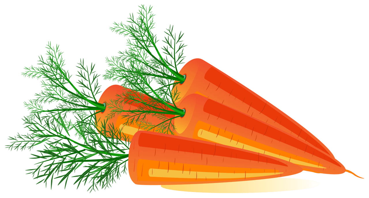 Carrot image for clipart 4