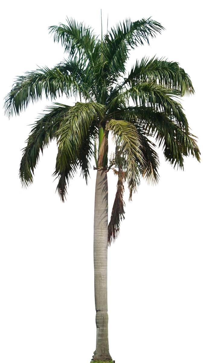 Palm tree pin page clipart logo