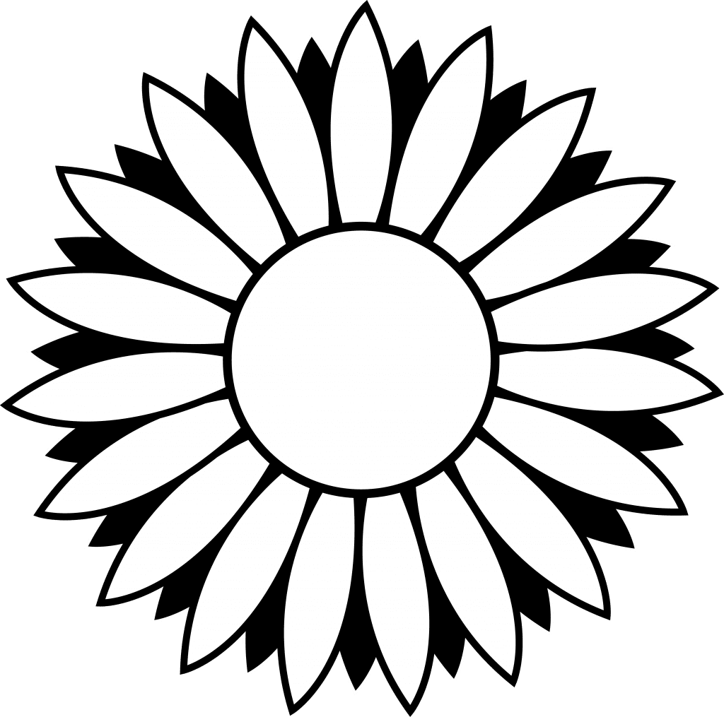 Sunflower black and white clipart wikiclipart transparent