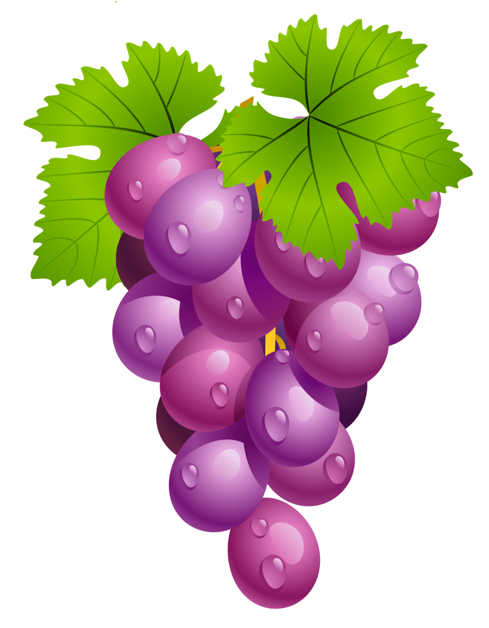 Grapes with leaves clipart picture