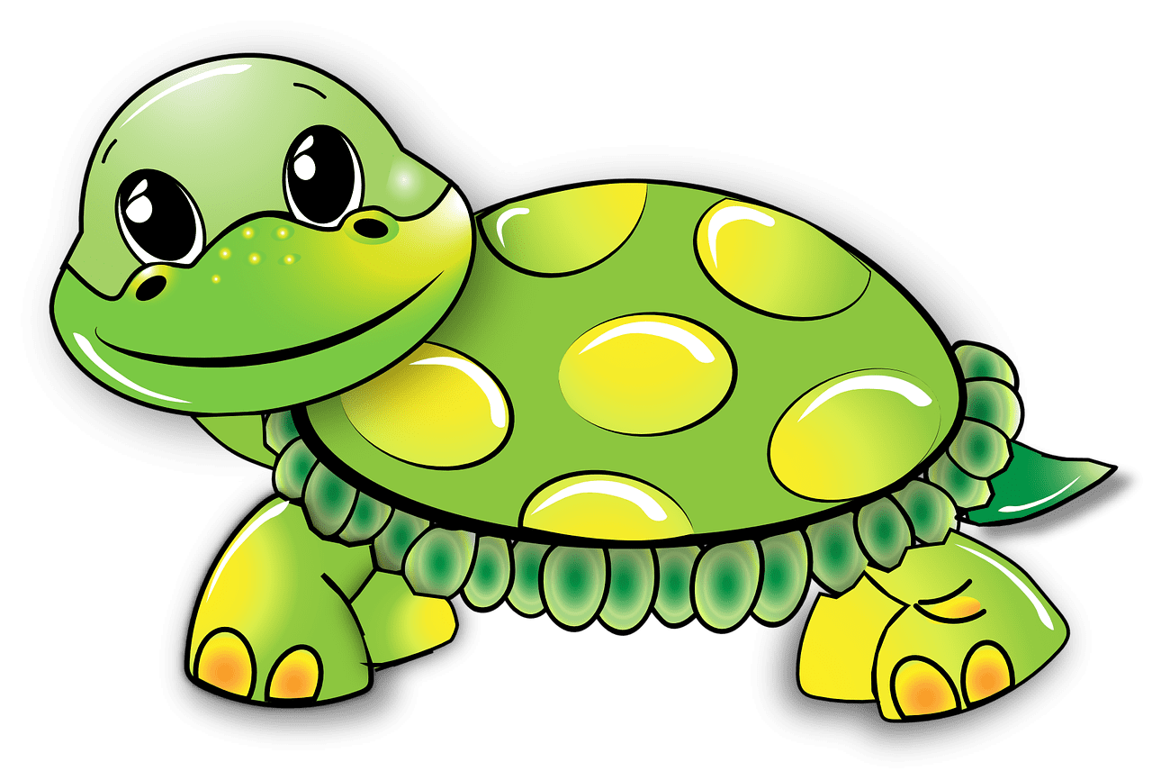 Turtle funny green im genes de tortuga tortugas lindas clipart photo