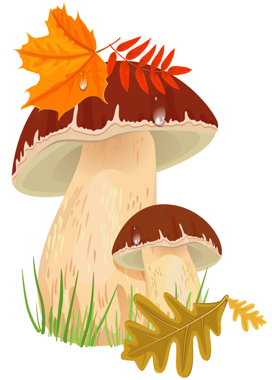 Fall leaves mushrooms clipart picture