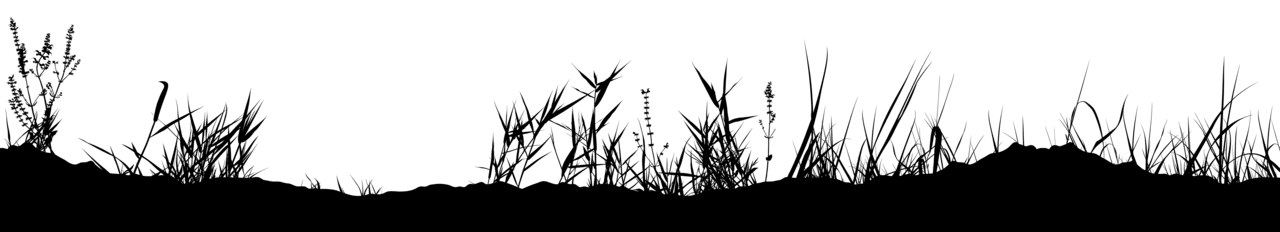 Grass silhouette clipart image