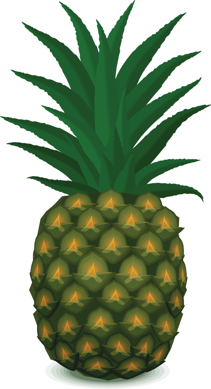 Pineapple pinapple clipart image