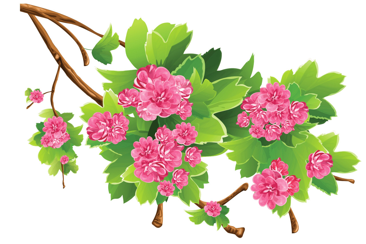 Floral spr branch clipart picture flower flowers background watercolor vector