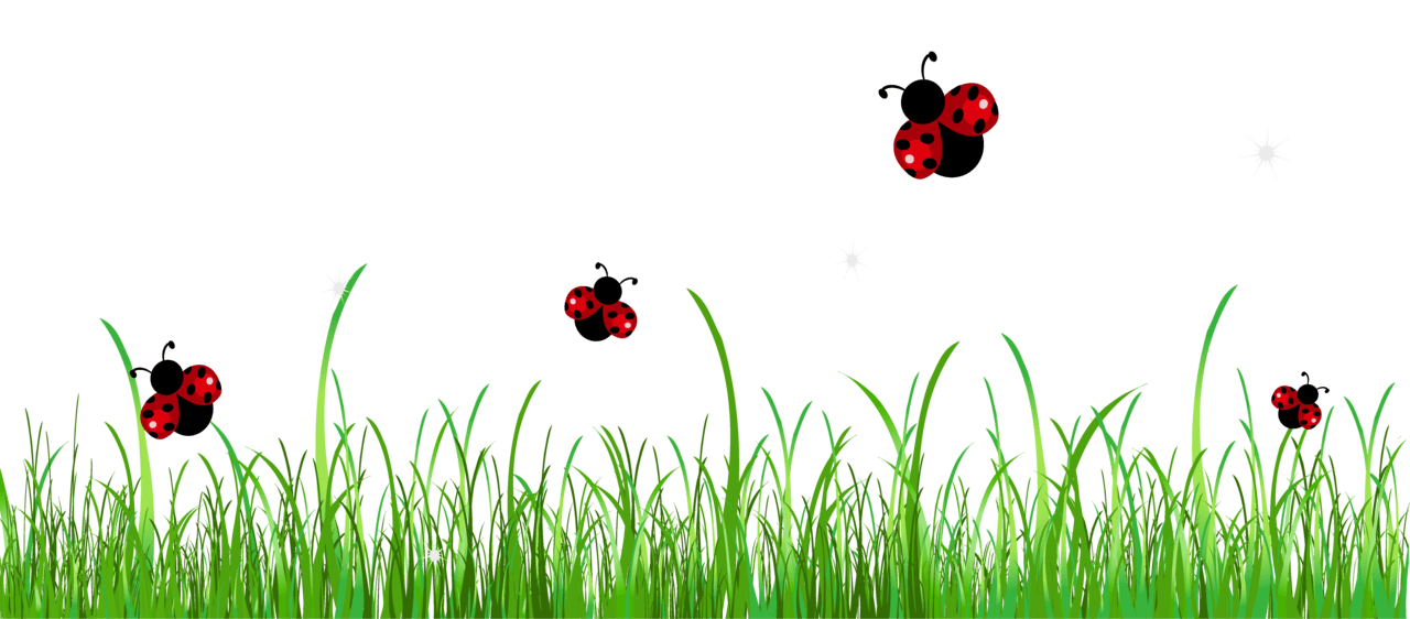 Grass with ladybugs clipart picture