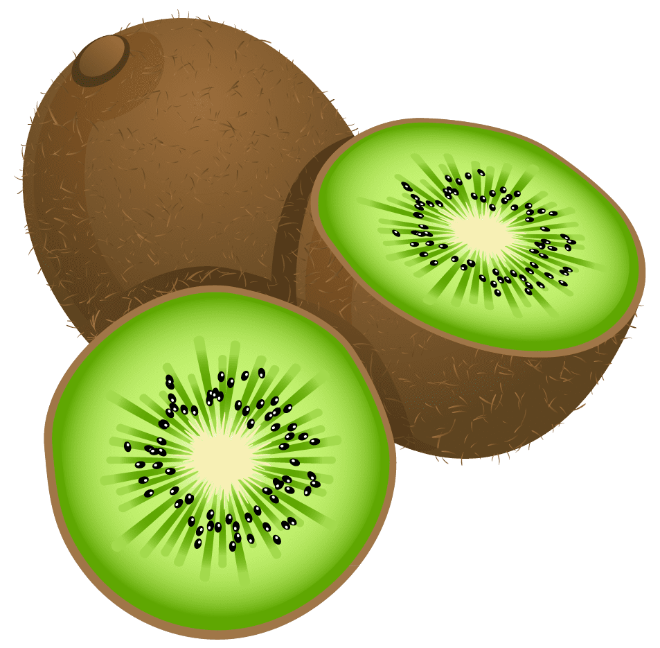 Fruit large pa ted kiwi frut clipart free