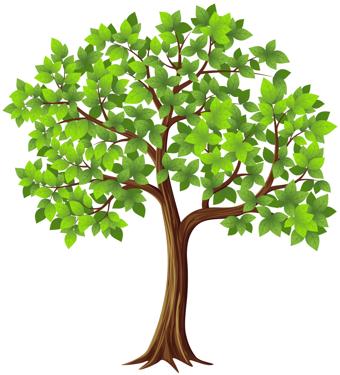 Leaves tree clipart image