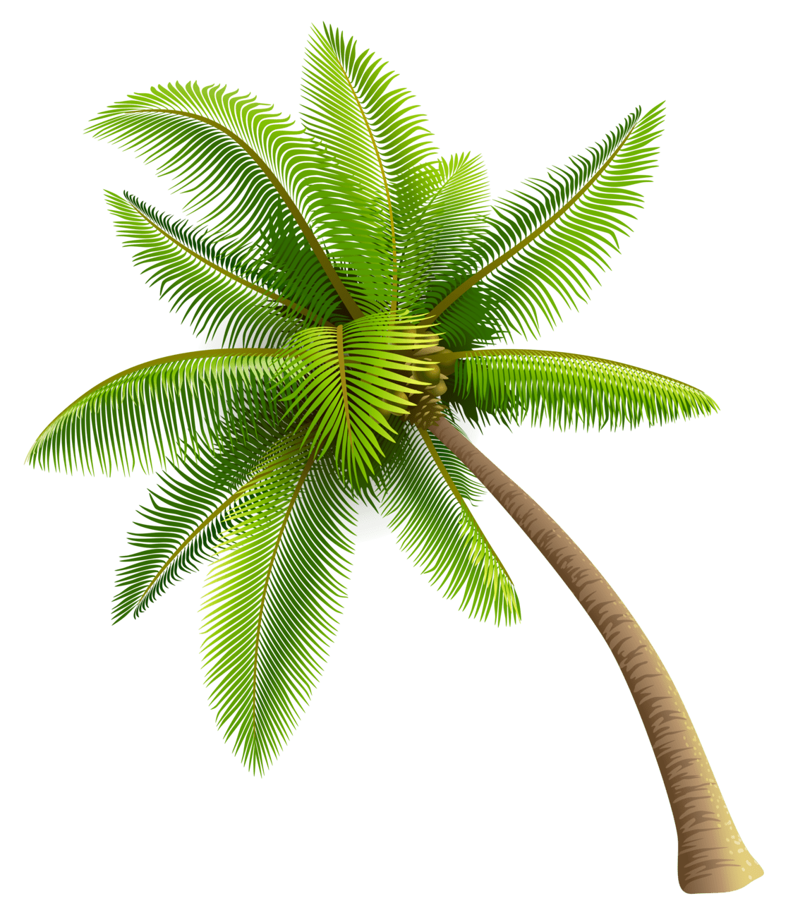 Green palm tree clipart background screen images