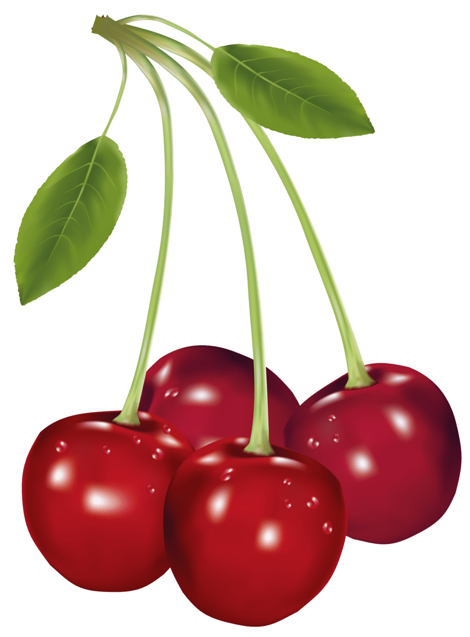 Fruit cherries clipart picture