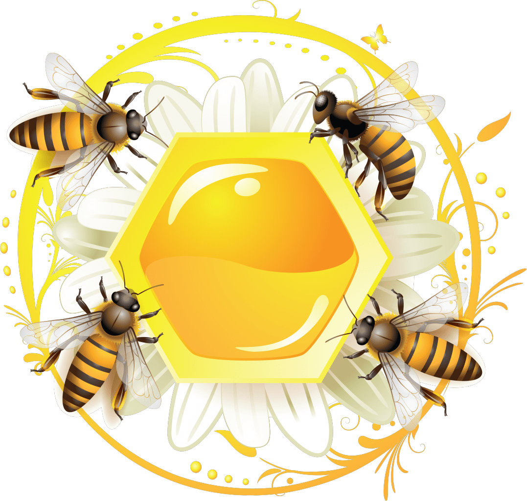 Beehive honey bee drawing cartoon clipart free