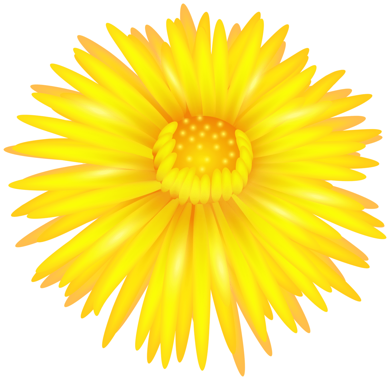 Daisy yellow flower clipart picture 2