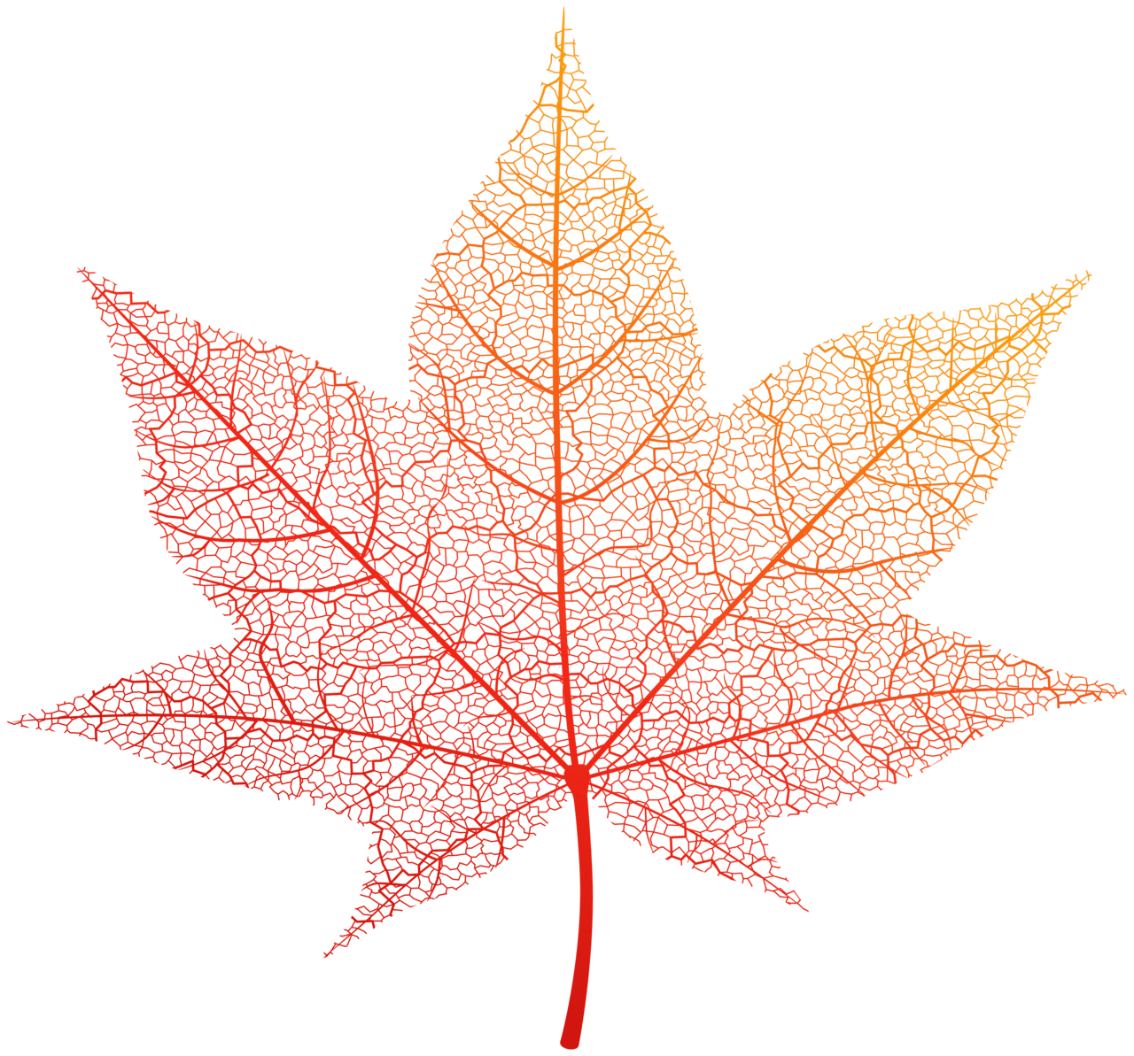 Orange autumn leaf clipart image