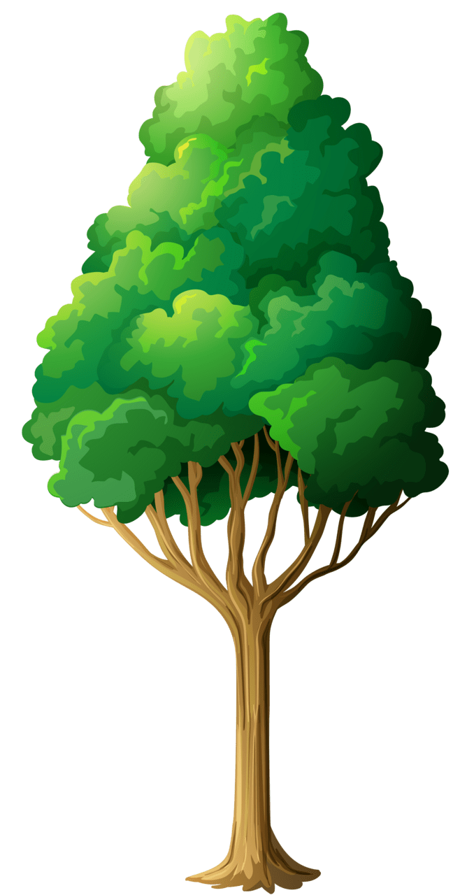 Plant green tree clipart background