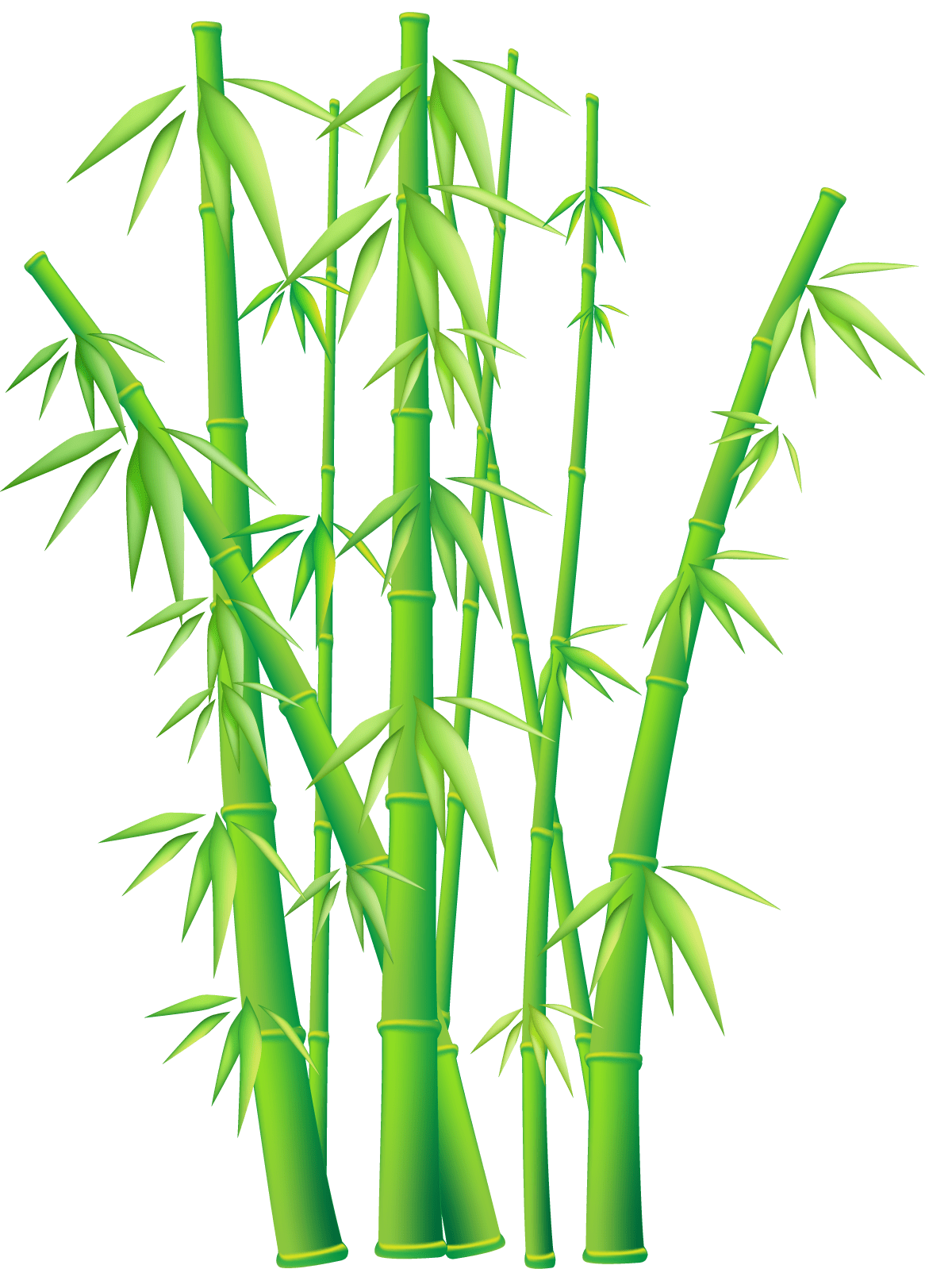 Plant bamboo border clipart background