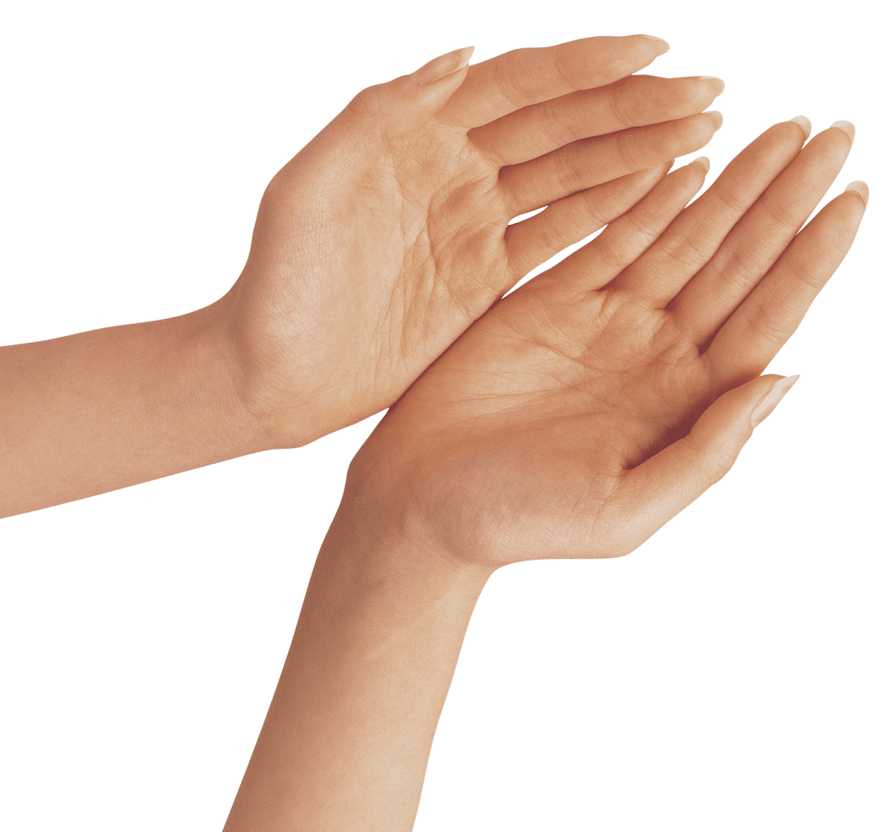 Two hand clipart image