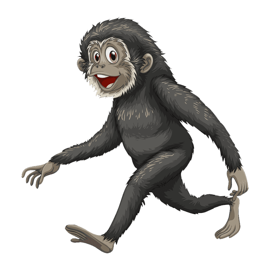 Monkey gibbon images hd photo clipart