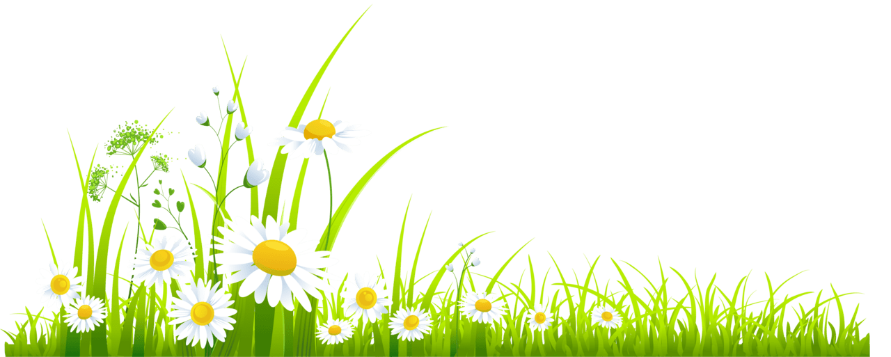 Spring grass clipart transparent