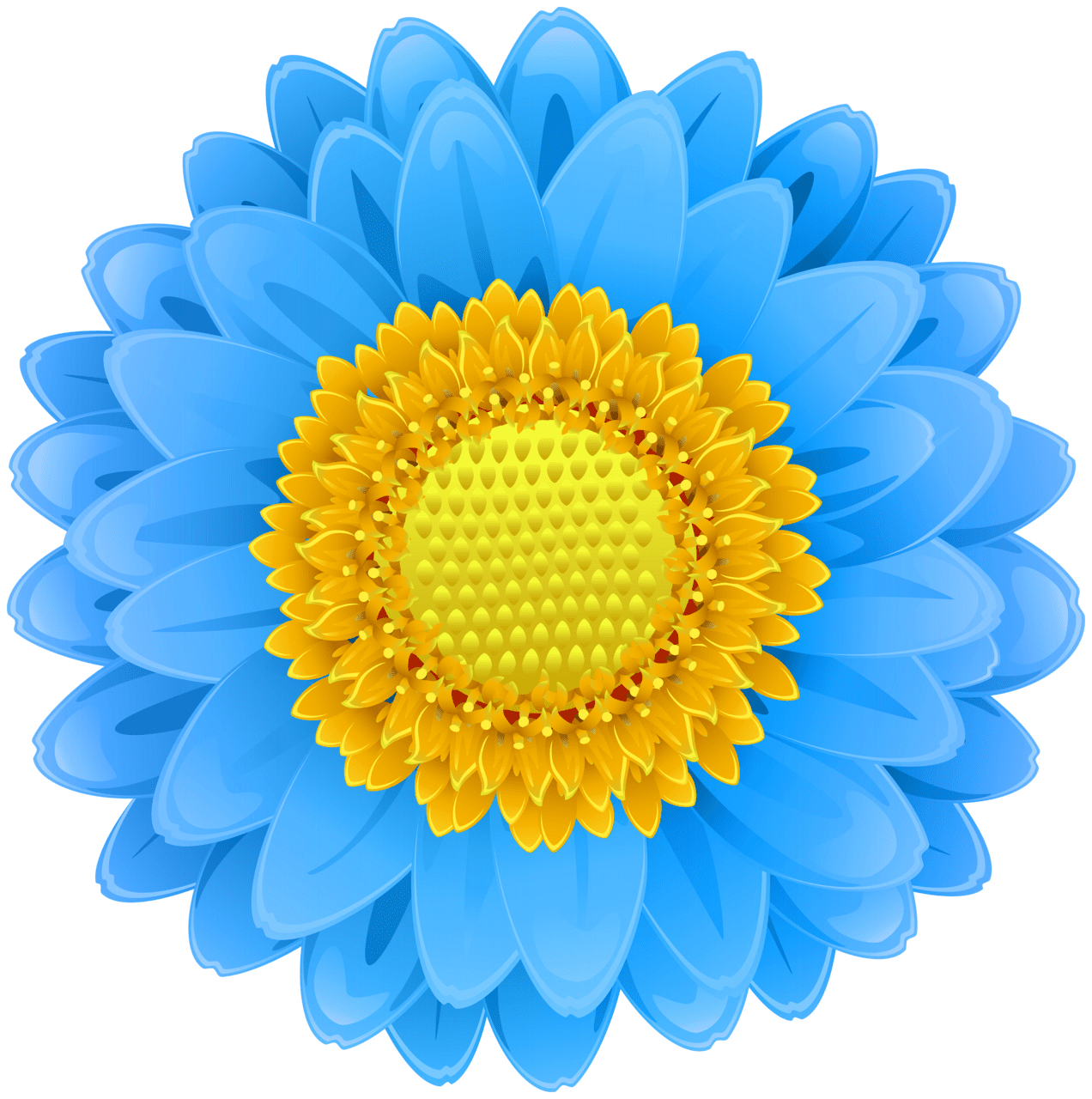 Floral blue flower clipart image