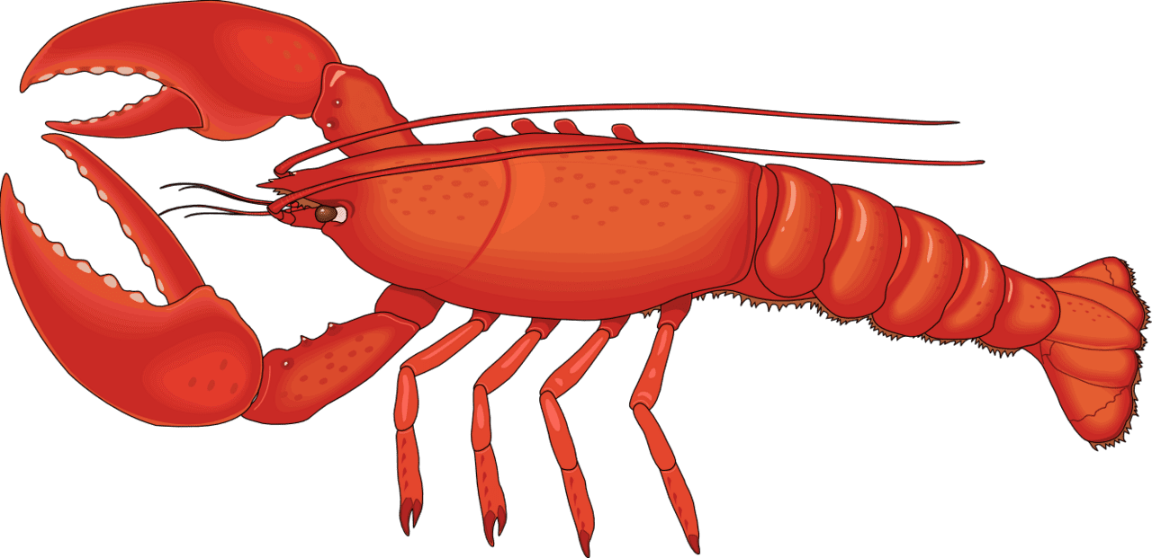 Crab clipart images