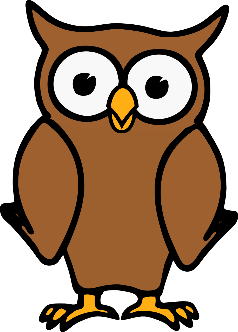 Owl clipart transparent