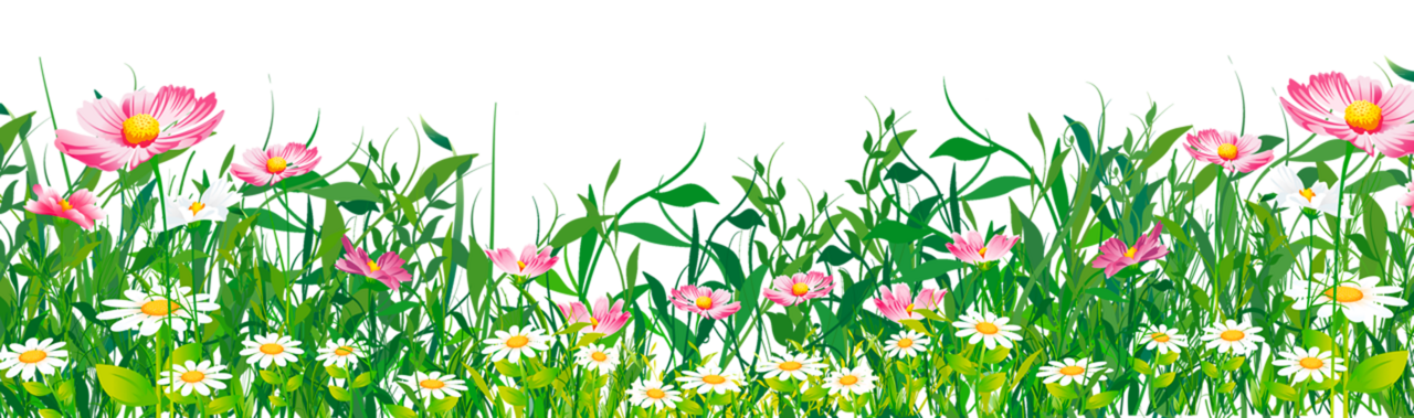 Grass with flowers clipart free