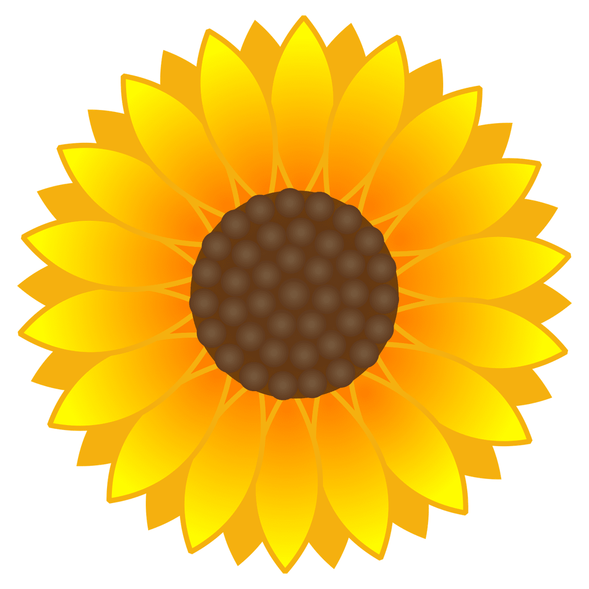 Sunflower page clipart clip art