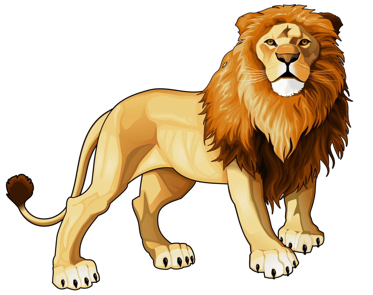 Tremendous picture of cartoon lion pictures clipart