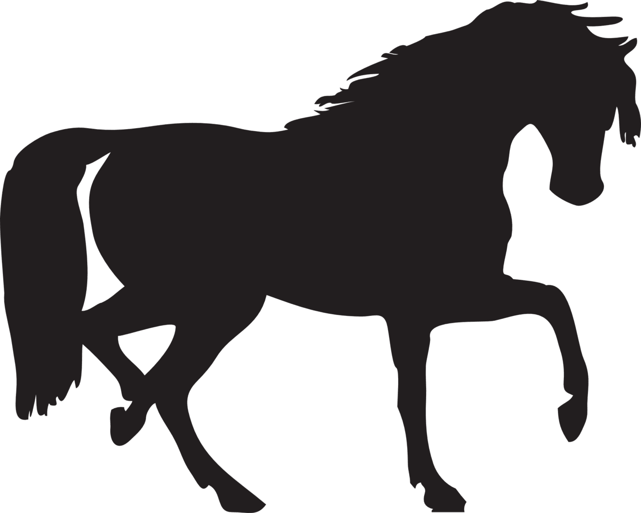 Black horse siluete image with background clipart