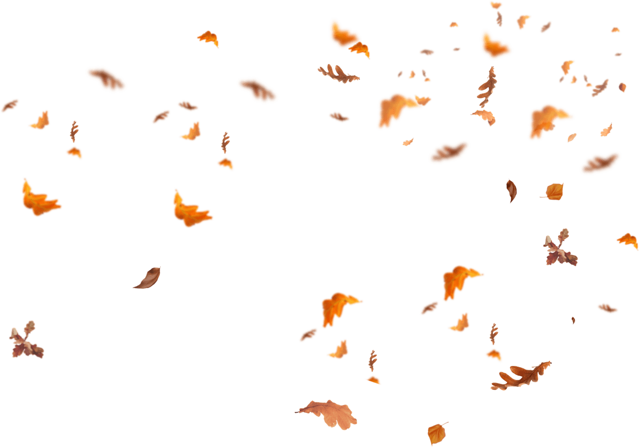 Autumn leaves fall images fly leaf clipart