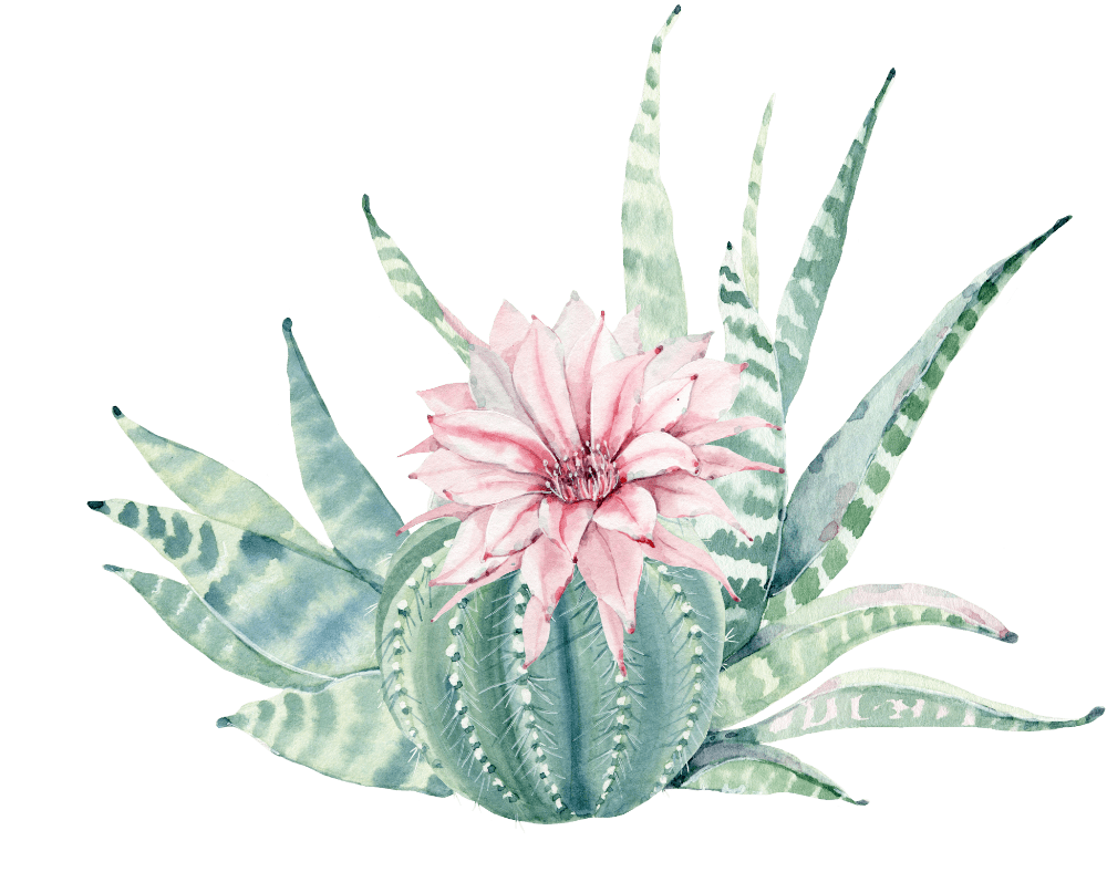 Cactus pink flower cartoon unlimited clea clipart free