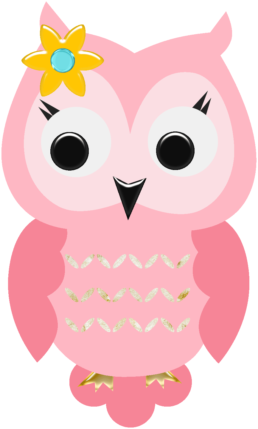 Owl corujas clipart vector