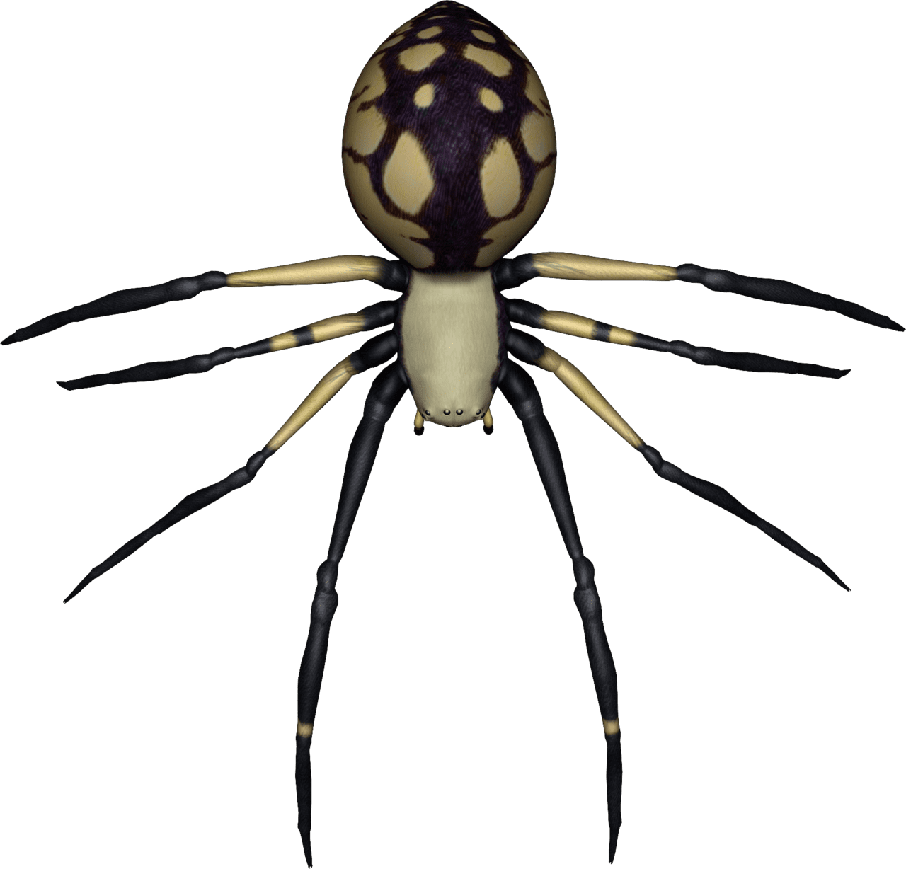 Spider clipart free