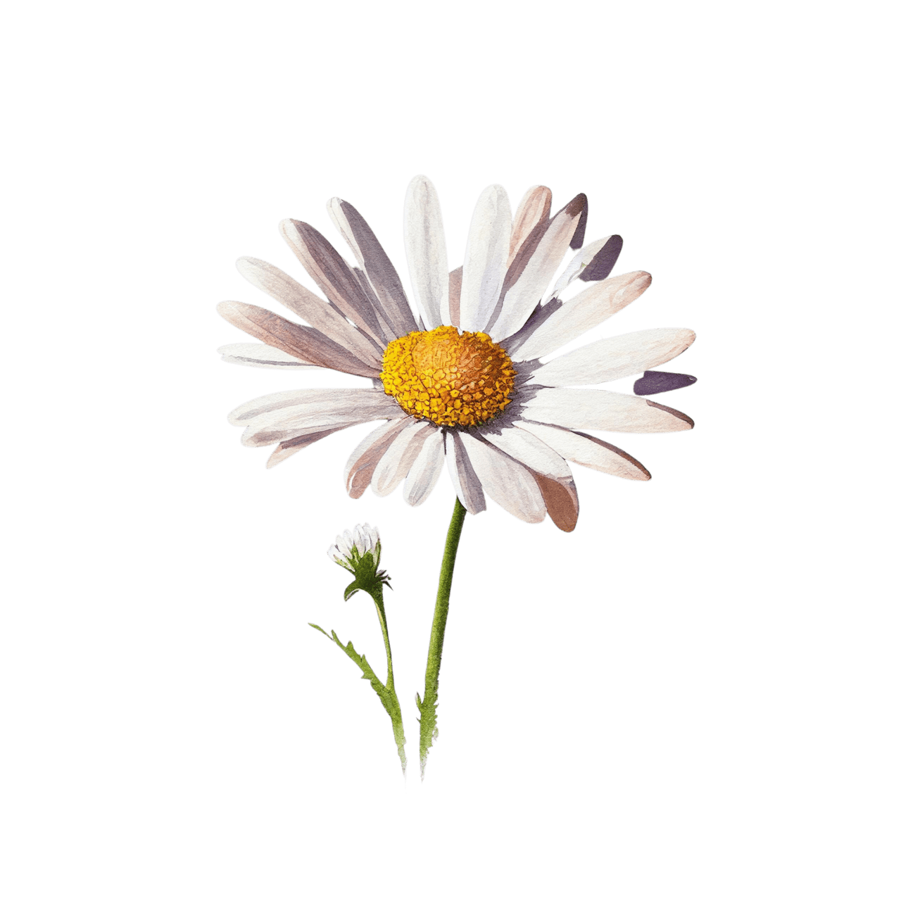 Watercolor wonderland whimsical daisy clipart picture 2