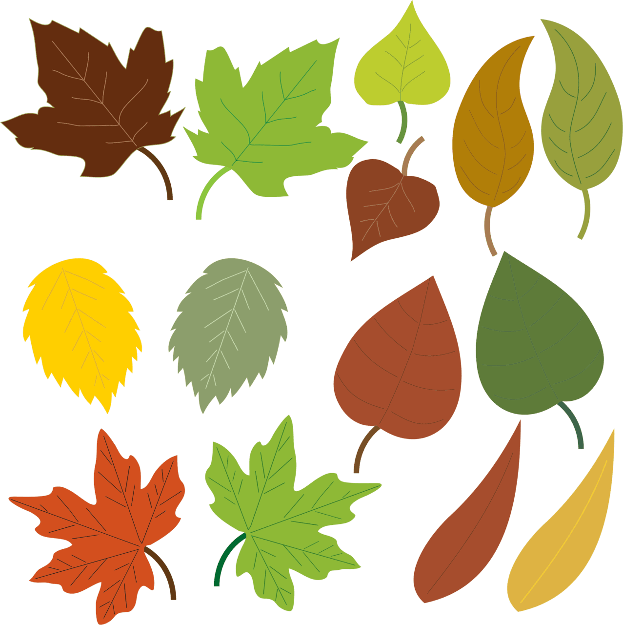 Variety of leaves clipart vector