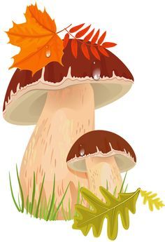 Fall mushroom clipart picture