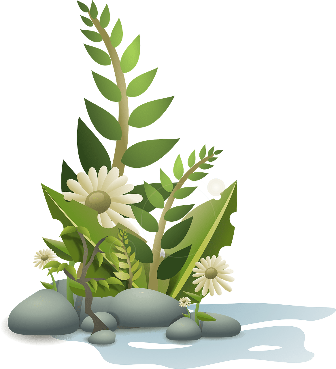 Flowers plant garden vector graphic bloem en bloeiende schaduw clipart