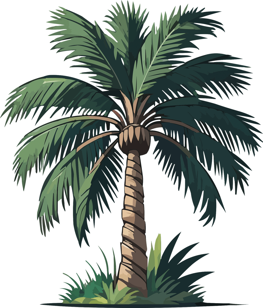 Palm tree tropical summer vector graphic clipart