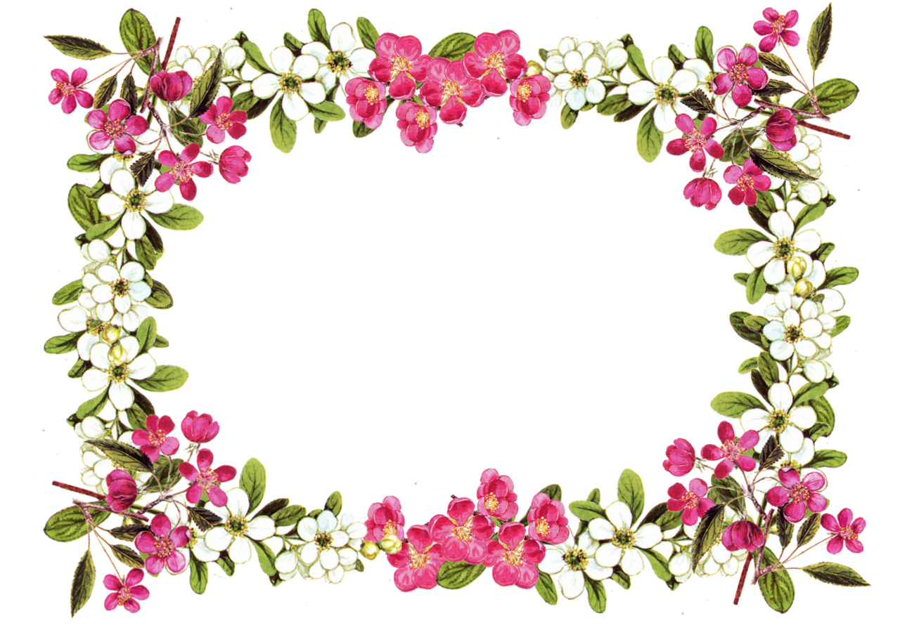 Floral digital flower frame in vintage design blumenrahmen bies clipart photo