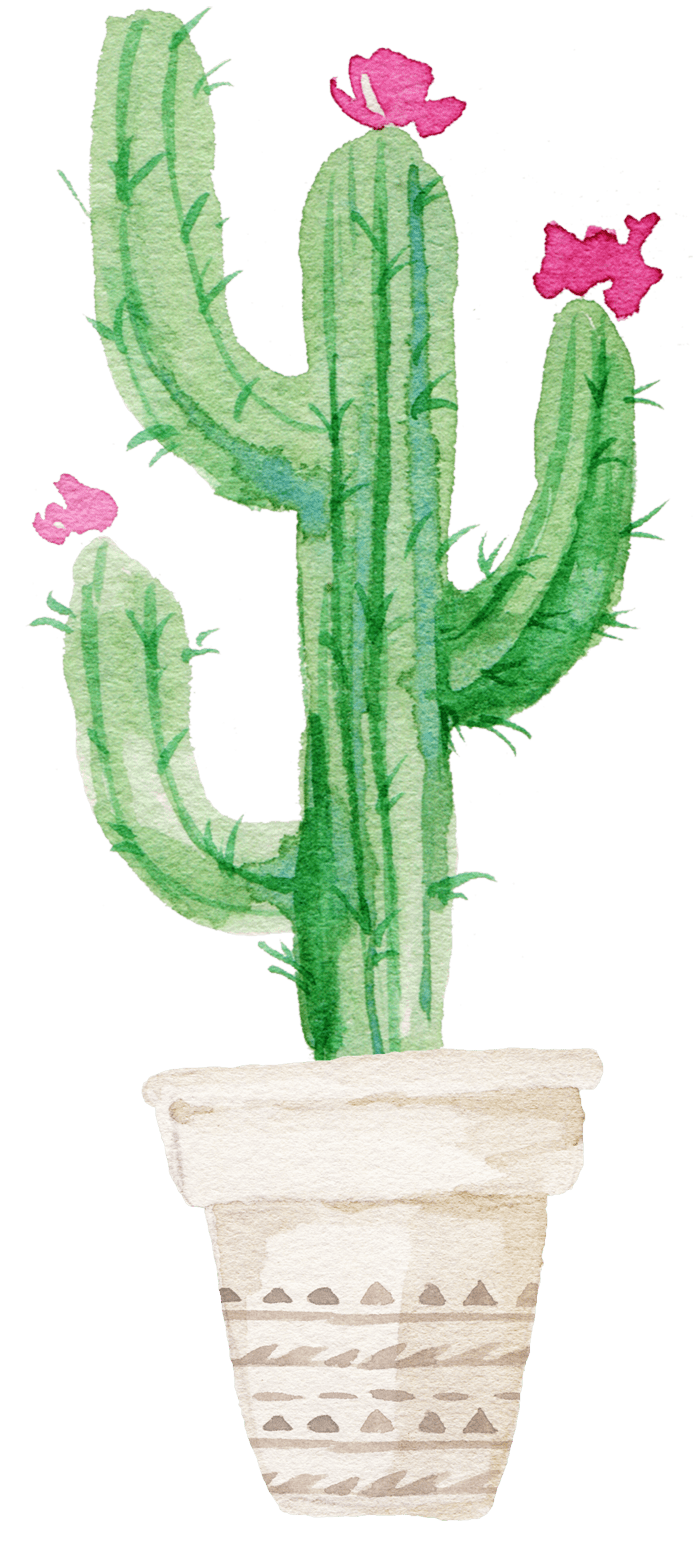 Cactus watercolor flower background transprent plant yophyllales clea kis clipart